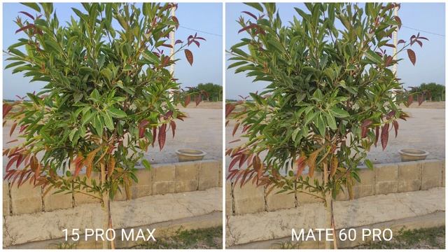 iPhone 15 Pro Max Vs Huawei Mate 60 Pro Camera Test Comparison смотреть онлайн