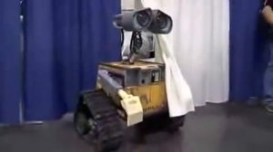 Валли и в настоящей жизни из мультфильма Wall-e.