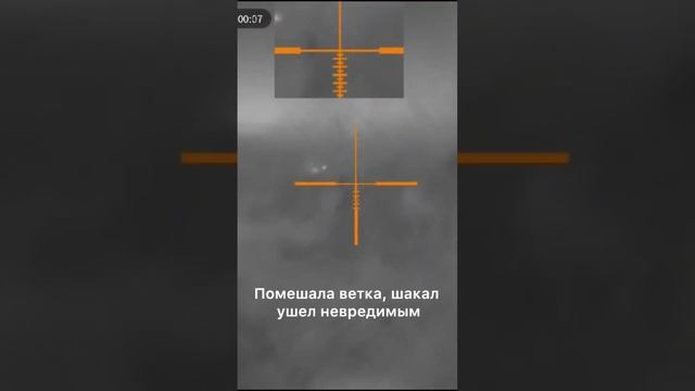 У зверя всегда есть шанс смотреть онлайн