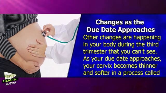 Pregnancy Stages Third Trimester