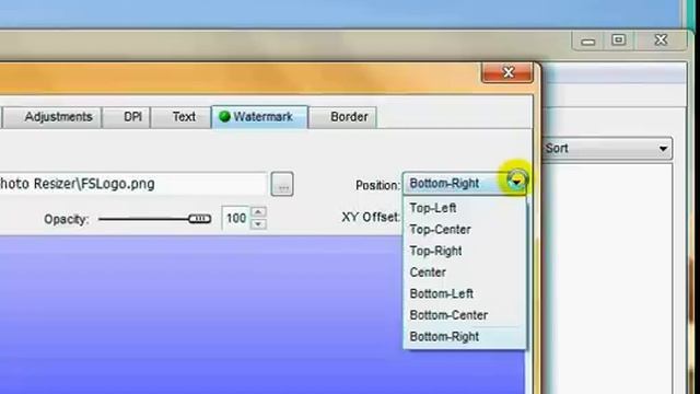 Batch Watermarking With Faststone Resizer смотреть онлайн