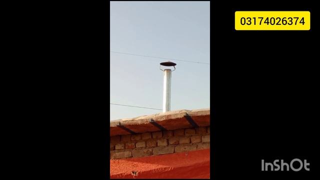 Hen l hen farming l golden misri l desi l aseel l austrolop farming l poultry l farming l livstock смотреть онлайн