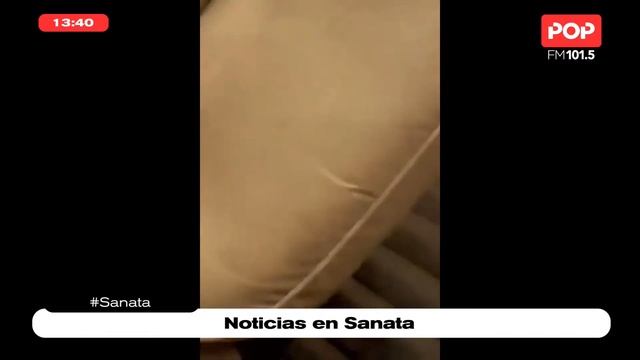 Las NOTICIAS del DÍA por RONNIE - #Sanata смотреть онлайн