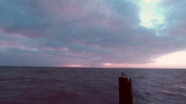 ［ＣＨＩＬＬ ＴＡＰＥ］n o r m a l - Roses смотреть онлайн