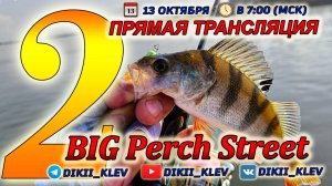 Прямая трансляция второго этапа Турнира 💥 BIG Perch Street 2024 💥