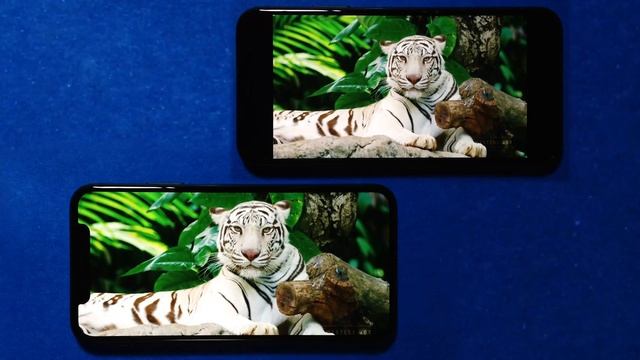 IPhone X - Super Retina Display - OLED Technology