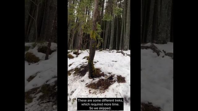 Morskie Oko | Berlin to Zakopane, Poland | Tatra Mountains | Hike in Nature смотреть онлайн