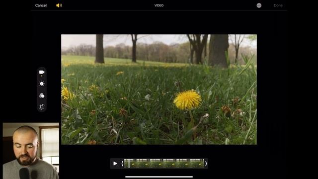 The Best Free Color Grading App for iPhone! смотреть онлайн