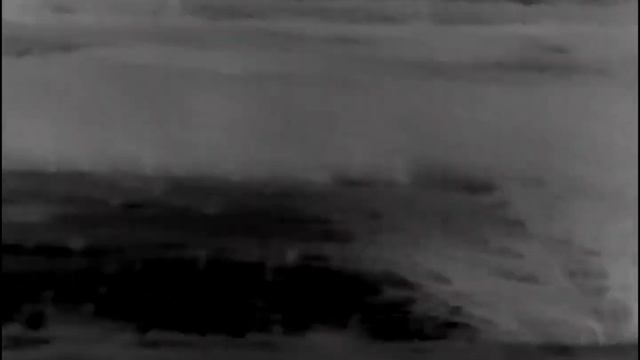 Охота на хищника в марте. Закрываю сезон. 51 шакал добыт смотреть онлайн