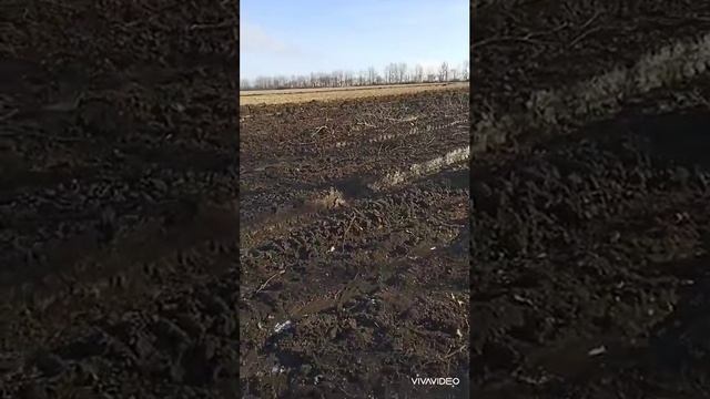 Для друга смотреть онлайн