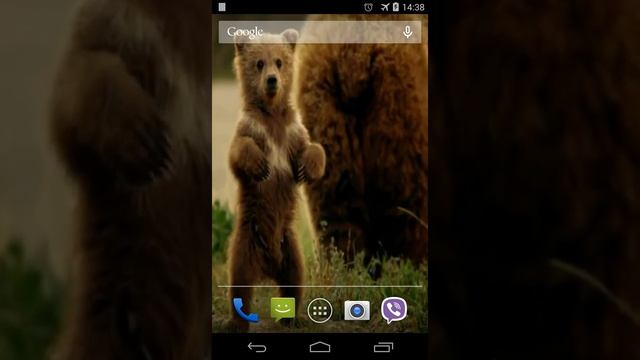 Cute Bear Video Live Wallpaper for Android смотреть онлайн