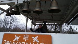 Колокольные звоны Савватьевой Пустыни. Шовда Павел