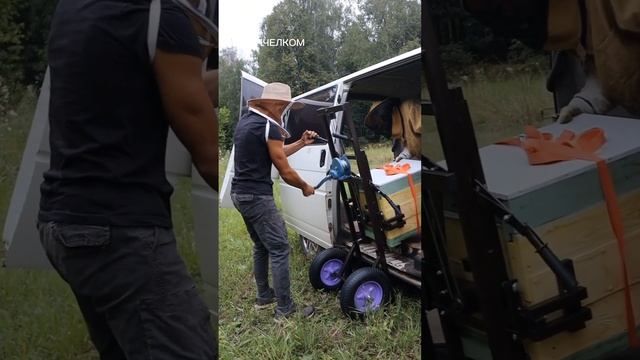 Пасека на кочёвке. Апилифт БАТЫР Premium для перевозки ульев. БАШПЧЕЛКОМ, заказать: www.bashphel.co смотреть онлайн