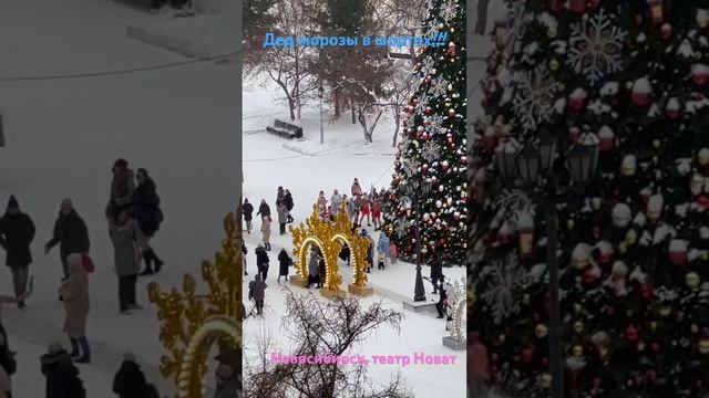Дед морозы в шортах устроили хоровод у главной елки напротив театра Новат Новосибирска #новосибирск