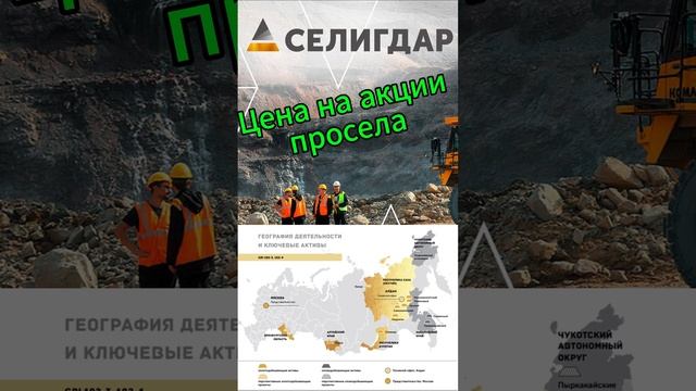 Инвестиции / Селигдар / Акции смотреть онлайн