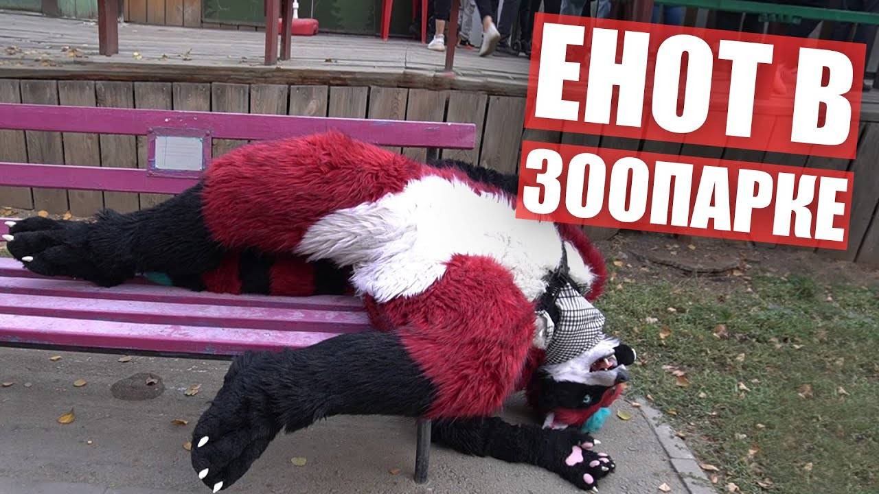 Фурри в ЗООПАРКЕ. Прогулка в ФУРСЬЮТЕ в Алматы смотреть онлайн