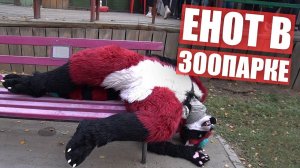 Фурри в ЗООПАРКЕ.  Прогулка в ФУРСЬЮТЕ в Алматы
