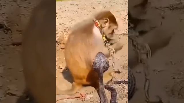 На всё стало пох*р) смотреть онлайн