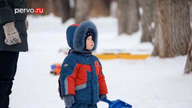 В Первоуральск залетела лесная сова смотреть онлайн