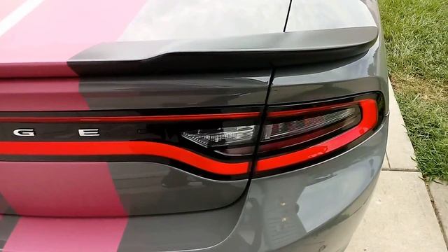 2018 Dodge Charger SXT Blacktop Package aftermarket matt pink stripes смотреть онлайн