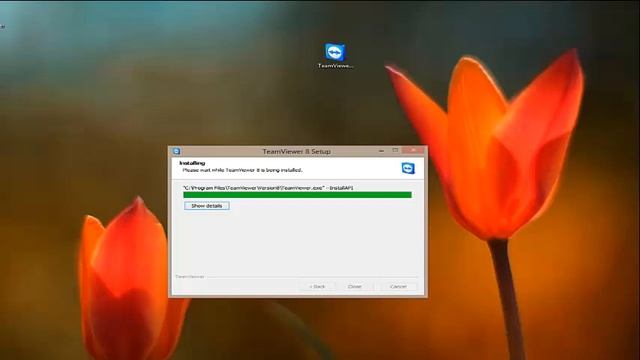 teamviewer смотреть онлайн