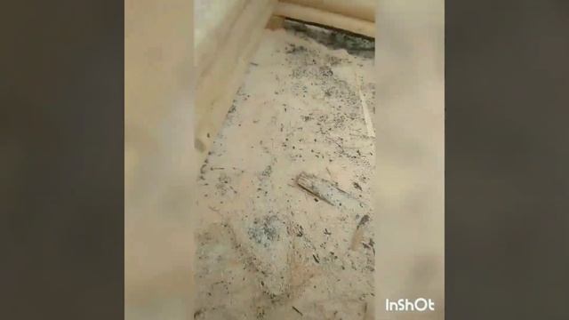 рубка дома 10*8 по щючьему веленью по-моему хотенью рубятся бревна сами т 9211209363 смотреть онлайн