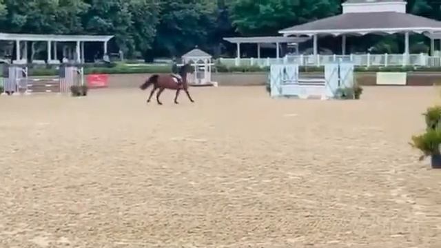 Sky High Equestrian’s Apple Jack смотреть онлайн