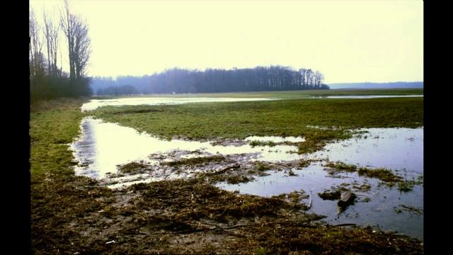Ökonomie & Ökologie im Einklang - wenn Kommunen & Landwirte gemeinsam handeln, Vortrag: Hans Fische смотреть онлайн