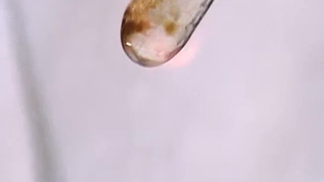 Качественное определение азота в органических соединениях