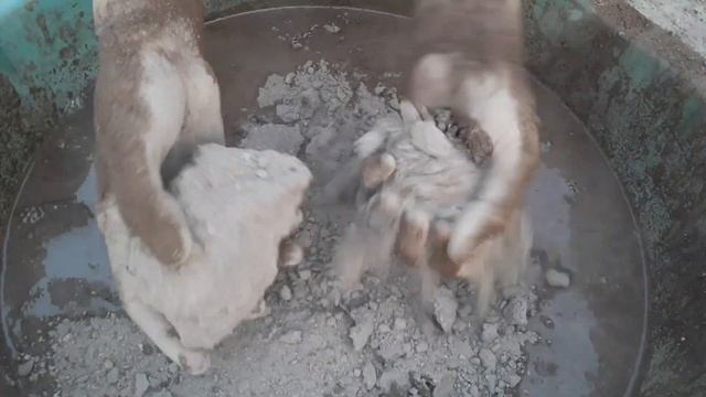 Brown Dirt Crunch Cakes Crumbling In Foamy Water ✔️👌 Smashing Dipping & Crumbling 🤤♥️ Satisfying 💯💦
