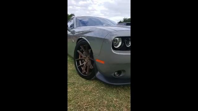 first ever dodge challenger scat pack shaker in Jamaica смотреть онлайн