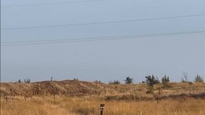 Охота на сурка в Ростовской области