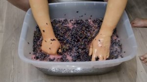 Рецепт домашнего вина из винограда Изабелла