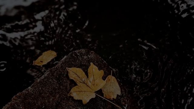 French Fuse - Somewhere Fuse (No Copyright Music)