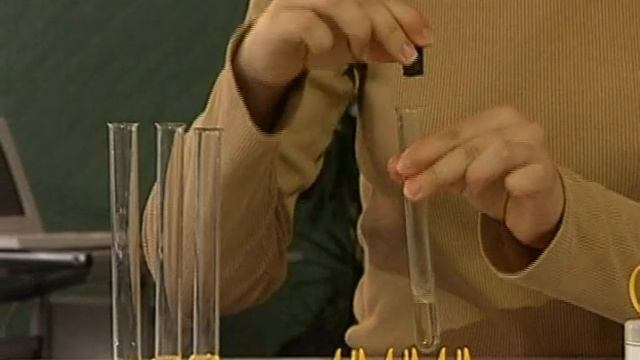 Галогены. Взаимодействие галогенидов с хлорной водой смотреть онлайн
