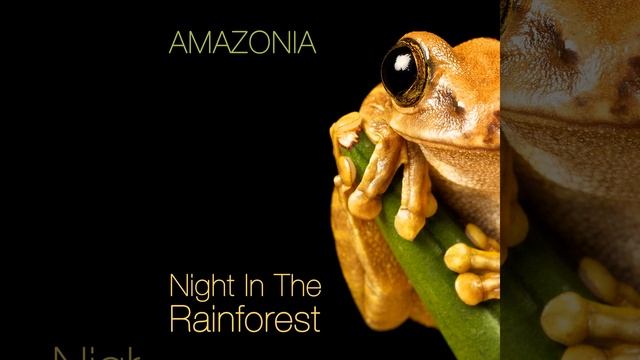 Spirit Of The Jaguar смотреть онлайн