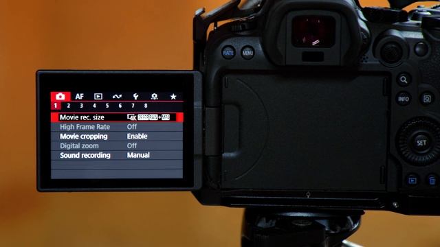 How To Record Highest Quality Video On Canon R6 MKII ( 12bit ProRes RAW) #canonr6markii