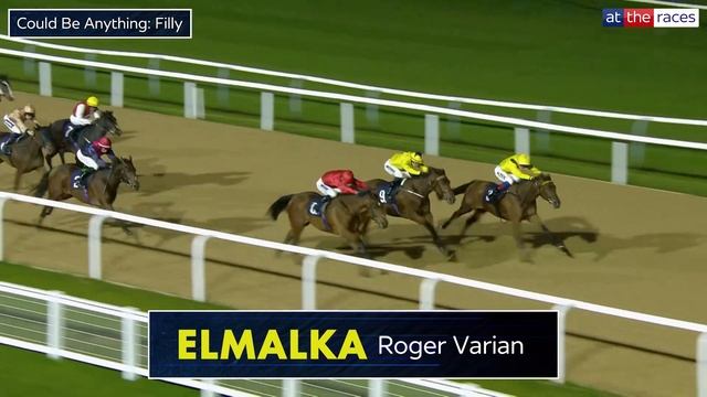 10 Horses you NEED to watch for the 2024 Flat Season! смотреть онлайн