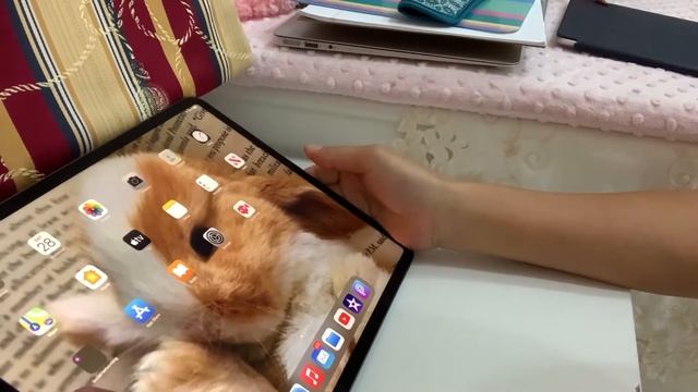 Ipad Pro 2020 Amazing features смотреть онлайн
