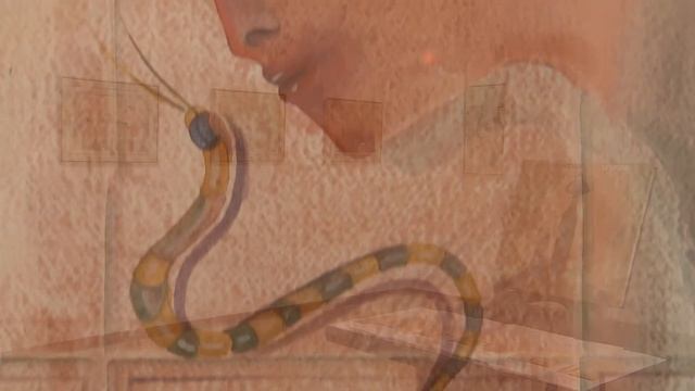 I paesaggi di Cesare Paolantonio alla Galleria Arianna Sartori (Mantova, 30/01/2021) смотреть онлайн