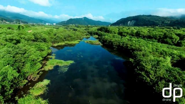 DJI FPV - Motion in Nature смотреть онлайн