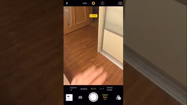 How to take Live Photos iPhone 6 iPhone 6 Plus iPhone 5S смотреть онлайн