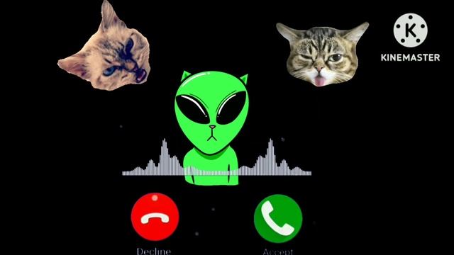 Appel ringtone iPhone #pro EP.7 #iphone #cat смотреть онлайн