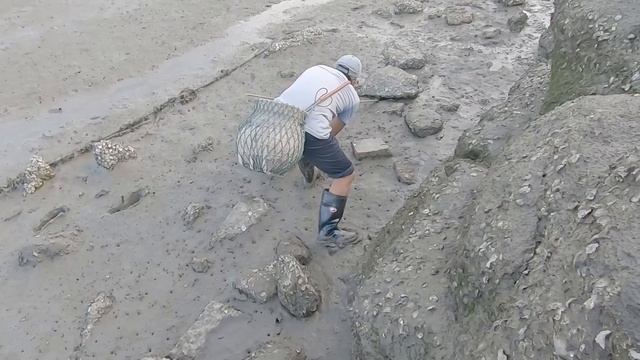 泰叔赶海勾到好多蟹苗，巨石深缝里有大动静，这下是一只大家伙了 смотреть онлайн