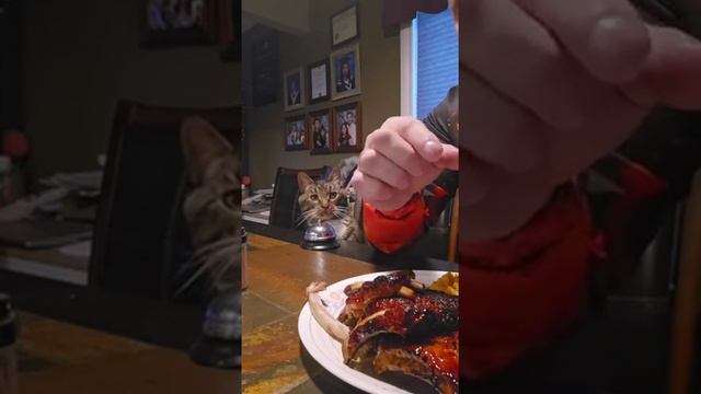 Дай тоже пожрать! Подпишись!!! смотреть онлайн