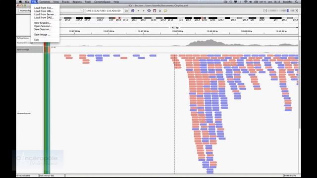 Formation NGS: Visualisation de données génomiques par IGV (Integrated Genome Viewer) смотреть онлайн