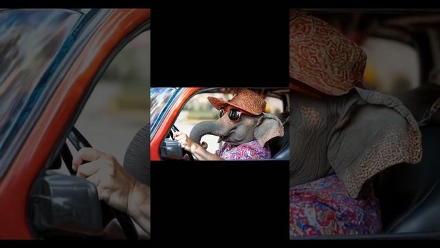 Elephant tourist drives a car. #dreamyai, #aidreams #cute смотреть онлайн