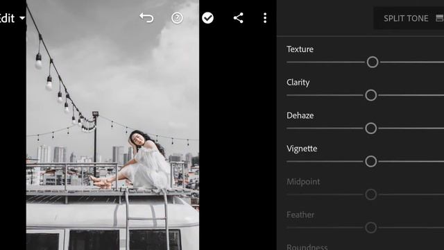 Silverqueen Presets - Lightroom Mobile Presets | Grey Preset | Urban Presets | Urban Photography смотреть онлайн