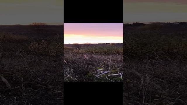 Багряный рассвет.#утро # солнышко проснулось смотреть онлайн