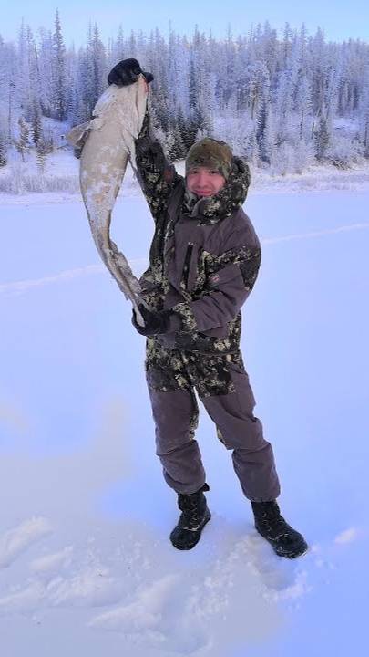Вытащили налима на 6 кг. Зимняя подледная рыбалка на налима смотреть онлайн